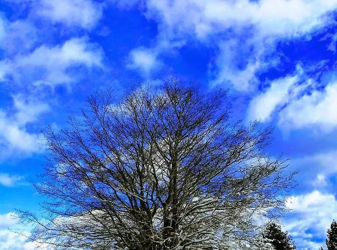 Guido 住宿加早餐酒店